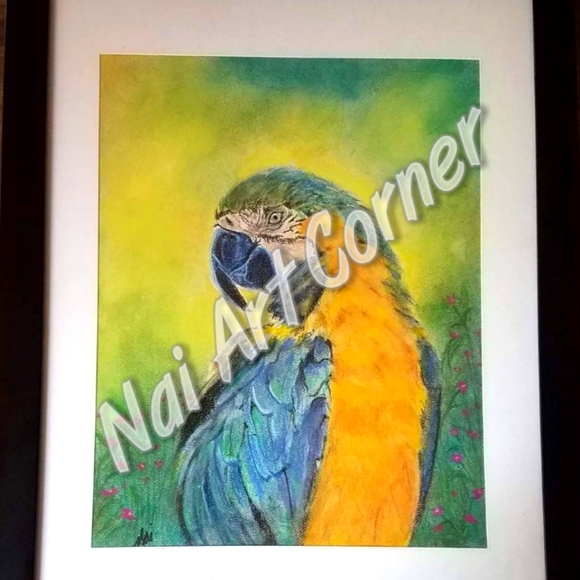Handmade Parrot Pastel painting